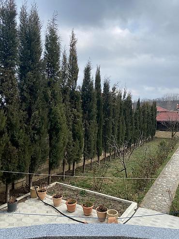 Həyət evi alıram: 476 kv. m, 9 otaq — 24