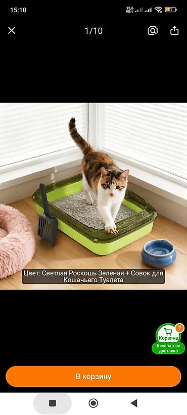 отдам котят: Самец, Самка, В добрые руки, Самовывоз, Бесплатная доставка — 10