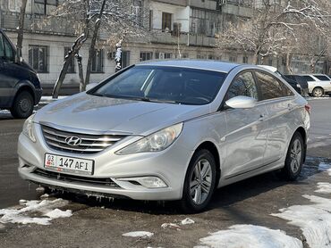 Hyundai: Hyundai Sonata: 2010 г., 2 л, Автомат, Газ, Седан