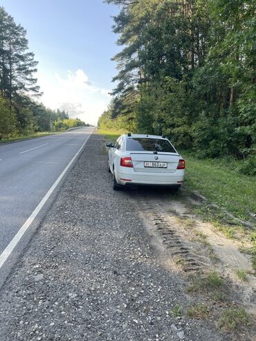 Skoda: Skoda Octavia: 2019 г., 1.6 л, Автомат, Бензин, Седан — 2