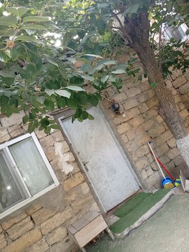 agdasda kiraye evler 2022: 27 kv. m, 1 otaqlı, Qaz, İşıq, Su