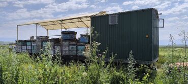 Другая сельхозтехника: Кочевая пасека на прицепе-платформе срочно срочно срочно очень — 4