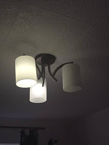 Унитазы: Переноска/контейнер для животных + унитаз-компакт 1) Переноска для — 21