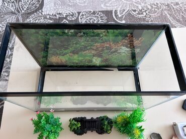Akvarium əla vəziyyətdə.İçində balıq yaşamayıb,tısbağa yaşayıb eni 40