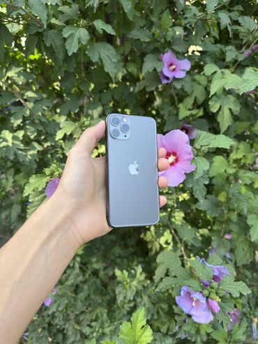 купить цветные принтеры: IPhone 11 Pro, Новый, 256 ГБ, Matte Space Gray, Чехол, 76 %