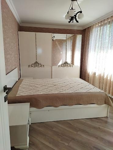televizo: İkinəfərlik çarpayı, Yeni — 1
