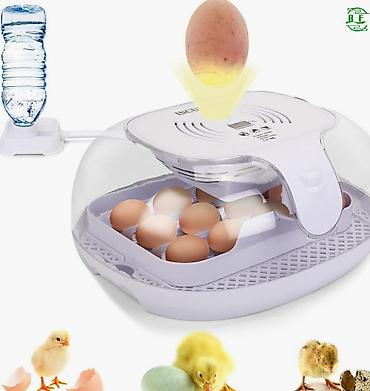 Товары и оборудование для с/х животных: Инкубатор на 16 яиц #Инкубатор #БизнесИнкубатор — 7