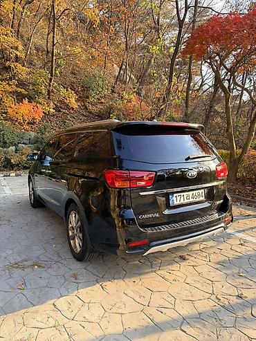 Kia: Kia Carnival: 2019 г., Автомат, Дизель, Минивэн — 17