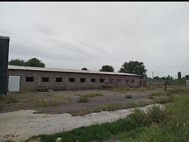 продаю участок заречное: Farm МРС, 22 соток — 1