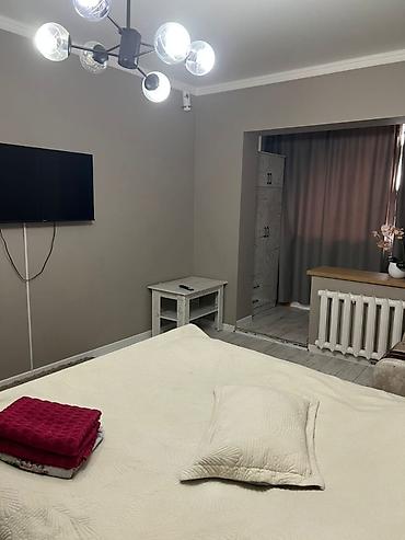 Посуточная аренда квартир: 1 комната, Душевая кабина, Постельное белье, Кондиционер — 13