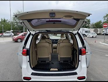 v klass: Kia Carnival: 2019 г., 2.2 л, Автомат, Дизель, Минивэн — 3