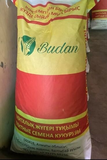 мака сатылат: Уруктар: Жүгөрү, Өзү алып кетүү