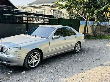 amg petronas: Mercedes-Benz S-Class: 2000 г., Седан — 1