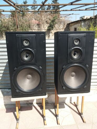 Dinamiklər və kolonkalar: Audio Pro Kolonka, Növ - Akustik