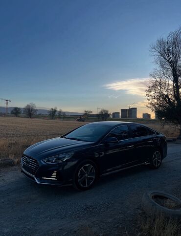 Hyundai: Hyundai Sonata: 2018 г., 2 л, Автомат, Гибрид, Седан — 2