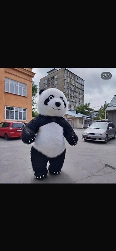 Прокат одежды: Ростовая кукла, Зверушка, Панда — 4