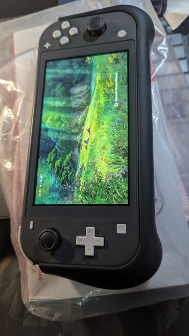 поко чехол: Nintendo Switch Lite Повер банк чехол спец для него, уже не помню