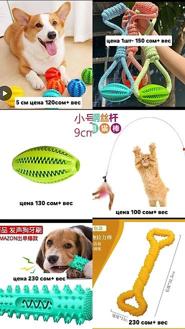 Зоотовары: Одежда, переноски и игрушки для домашних животных Ассортимент: - — 5