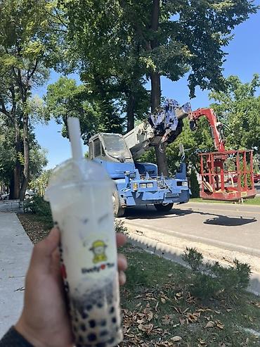 Услуги: Стрела 24 м, 10 т — 1