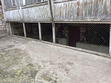 yaşma torpaq satilir: 4 otaqlı, 300 kv. m, Kredit yoxdur, Təmirsiz — 3