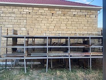 rottweiler qiyməti: Polkaa qiymet razizlawma yolu ile — 2