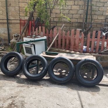 185 65 r14 летняя: Şin 185 / 65 / R 15