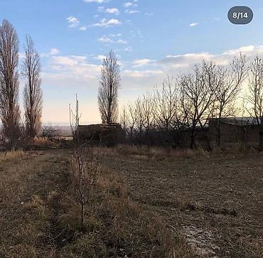 Продажа сельхоз предприятий: Продаётся сельскохозяйственный участок с хозяйственным двором и — 9