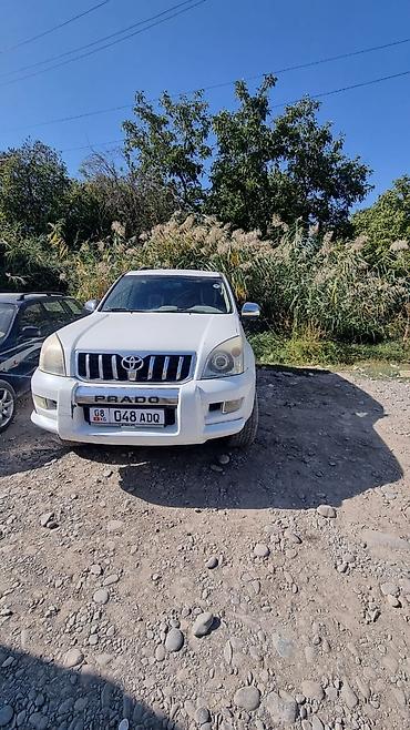 дорожная: Toyota Land Cruiser Prado: 2007 г., 4 л, Бензин, Внедорожник — 3