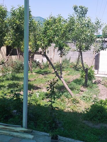 Продажа домов: Дом, 200 м², 7 комнат, Собственник — 10