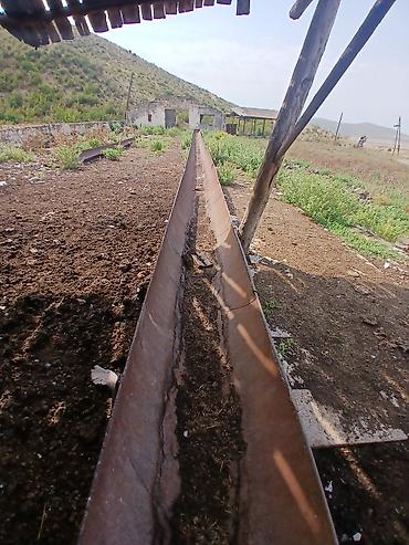 zabrat heyet evi: Ferma ve qalot satilir — 2