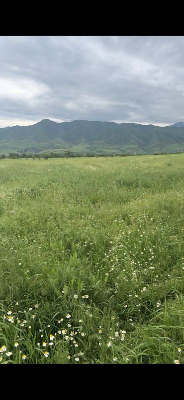 участок продажа бишкек: 6 соток