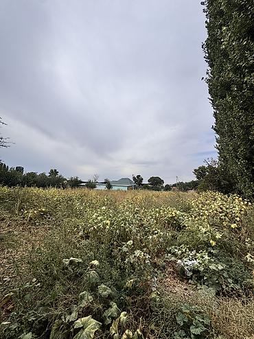 Продажа участков: 23 соток — 11