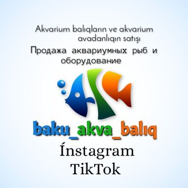 akvarium balıq satışı: Ünvandan götürmə, Ödənişli çatdırılma