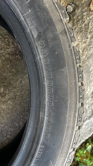 2456018 зима: Зимние шины 245/45 R18 100H (Extra Load, направленный протектор) — 3