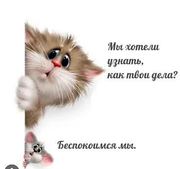 мото мини: Заказать Хендай портер — 4