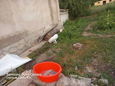 уголь в бишкеке с доставкой: Ушулар сатылат Беловодскийде эски арзанга эле берем