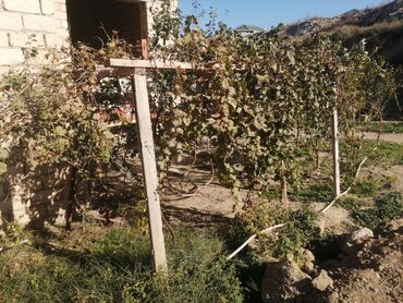 Həyət evləri və villaların satışı: Digah 4 otaqlı, 140 kv. m, Kredit yoxdur, Təmirsiz -da lalafo.az — 11 Həyət evləri və villaların satışı: Digah 4 otaqlı, 140 kv. m, Kredit yoxdur, Təmirsiz — 11