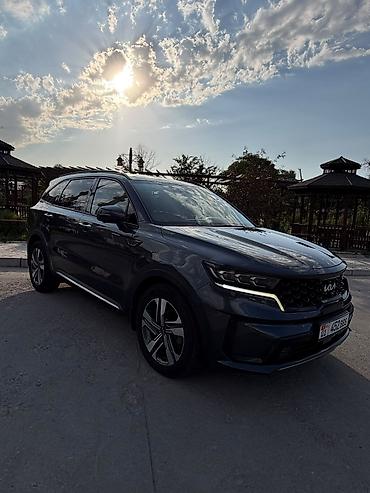 соренто 2022: Kia Sorento: 2022 г., 1.6 л, Автомат, Гибрид, Кроссовер — 2