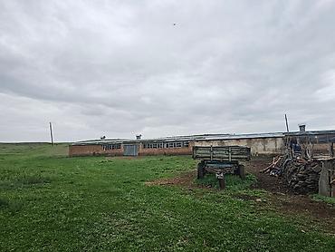 Продажа дач: Продажа дач at lalafo.kg — 11 Продажа дач: Продажа дач — 11