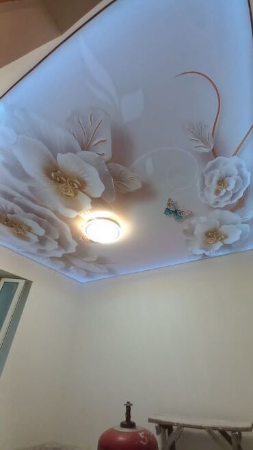 Натяжной потолок: Надежной потолок г ош — 22