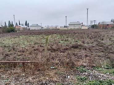 Torpaq sahələrinin satışı: 35 sot, Tikinti, Mülkiyyətçi — 14
