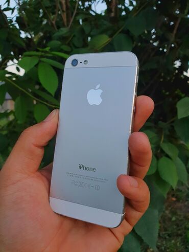 Apple iPhone: IPhone 5, Требуется ремонт, Space Gray, Чехол
