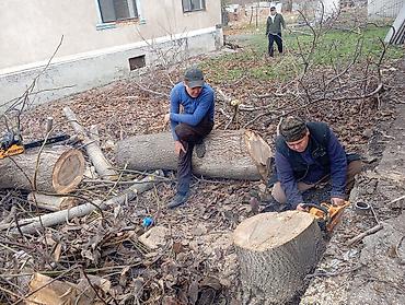 ии видео: Отун,Дрова.Кара-балта!!! Пилю Дрова Спил дров Колим дрова отун — 7