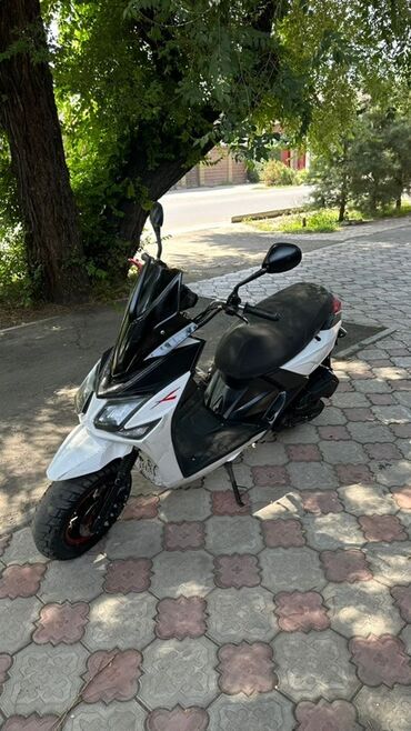 электро мотороллер с кузовом: Продаю срочно скутер самурай 2024 года Состояние отличное по