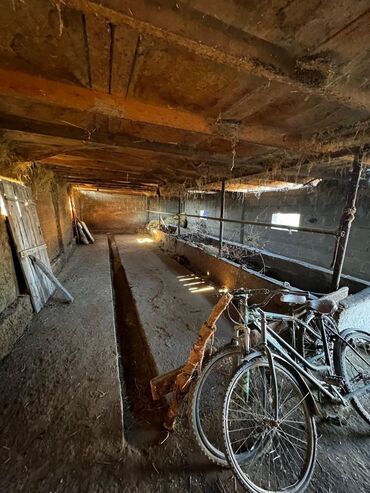 Продажа домов: Дом, 60 м², 2 комнаты, Агентство недвижимости, Косметический ремонт — 16