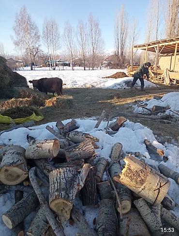 Продажа домов: Дом, 75 м², 4 комнаты, Собственник, Косметический ремонт — 11