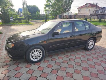 Nissan: Nissan Primera: 2000 г., 1.8 л, Механика, Бензин, Хэтчбэк