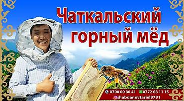 продажа меда оптом: Продаю оптом Чаткальский натуральный мед — 2