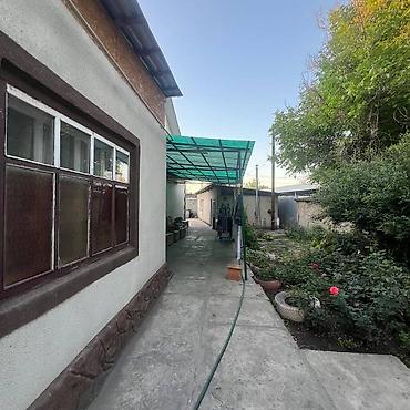 Продажа коттеджей и домов: Продаю дом! с. Восток, участок 8.07 соток, Красная книга, дом 100м2 — 9