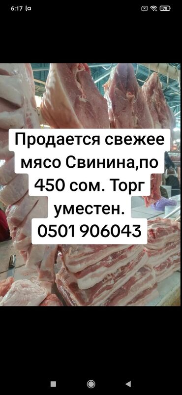 мясо курицы цена: Продается свежее мясо Свинина на Аламединском базаре Торг уместен